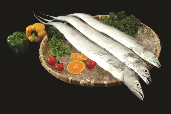 살오르고 탱탱한 제주산 은갈치 요리 즐겨요