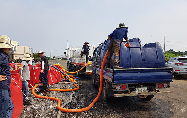 최근 30도를 웃도는 폭염으로 월동채소 생육 지장이 우려되고 있다.