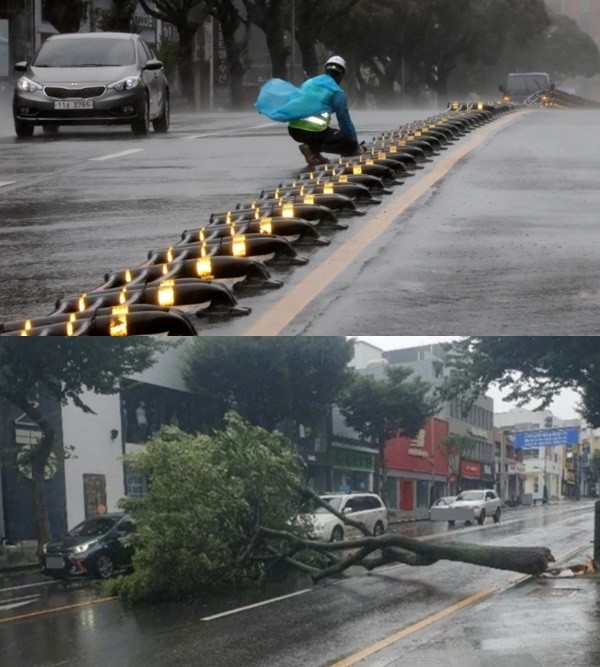 9호 태풍 마이삭 (사진: 뉴스1)