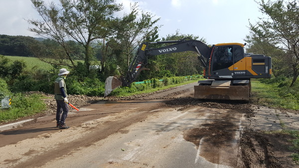 태풍 마이삭으로 평화로와 제2산록도록, 애조로, 교래교 등에서 도로 침수가 발생했다. 3일 도로 복구 작업이 한창이다.