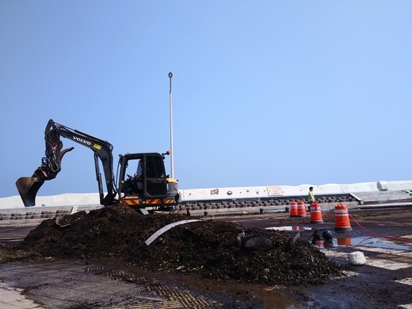 3일 태풍 마이삭으로 탑동 광장 등에 밀려온 해초와 쓰레기를 치우는 작업이 한창이다.