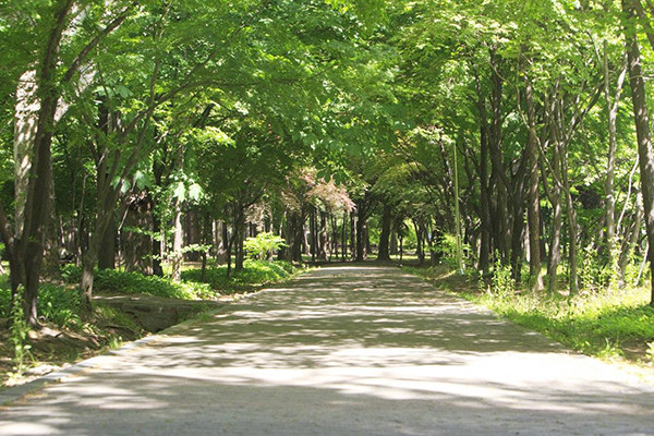 양재 시민의 숲