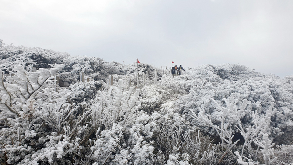 한라산 윗세오름 눈.  (자료사진)