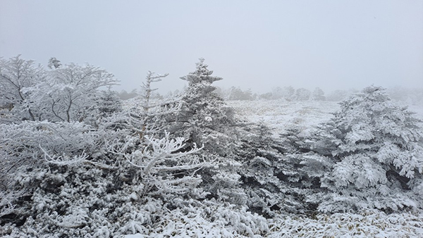 한라산 눈.