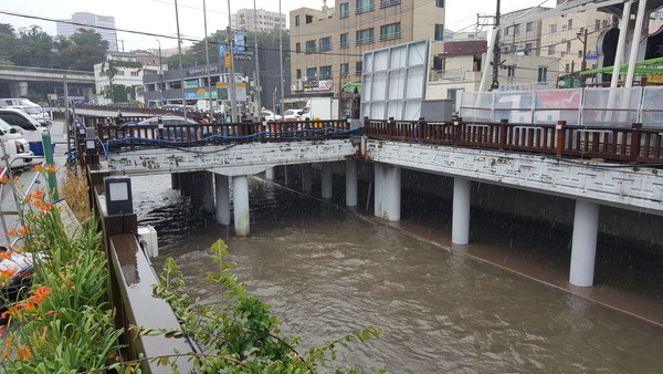 제주시가 올해 하천 범람이 우려되는 산지천 일대를 자연재해위험지구로 지정하기 위한 타당성 용역을 추진한다. 사진은 산지천 복개구조물 전경. 자료사진