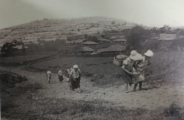 화산섬인 제주는 강이나 물이 흐르는 유수천이 많지 않아 물이 귀한 섬이다. 지하수 관정개발은 제주의 '물 가난'을 구제한 핵심 요인이었지만 땅만 파면 나오는 무한 자원이라는 잘못된 인식 등으로 무분별한 지하수 개발이 이뤄졌고, 제주 생명수를 지켜야 하는 절실한 상황에 놓였다. 과거 제주 사람의 물허벅을 이용해 물을 나르는 모습. 자료사진.