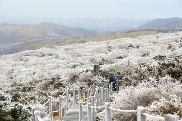 제주도 산지에 올해 첫눈이 내린 9일 오전 제주 한라산국립공원 영실 탐방로를 찾은 등반객들이 겨울 정취를 만끽하고 있다. 연합뉴스
