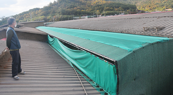 경남 고성군 하이면에 위치한 민진농장은 기존 재래식 돈사를 무창돈사로 개축하고, 액비순환시스템과 바이오커튼 등을 도입해 악취발생을 최대한 억제하고 있다. 김용현 기자