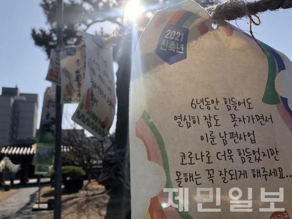 지난해 열린 신축년 탐라국 입춘굿에서 도민의 한해 소망을 적은 소원지가 목관아 일대에 매달아 있다. 제민일보 자료사진 