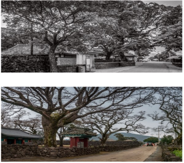 고 고영일-고경대 작