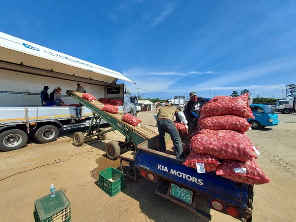 지난해 마늘 수매 모습.