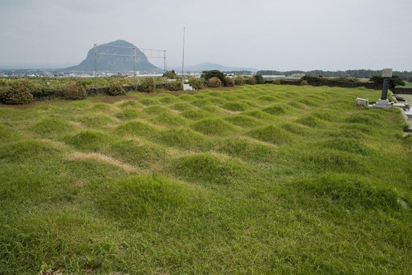 백조일손지묘.                                                 제주관광공사 자료사진