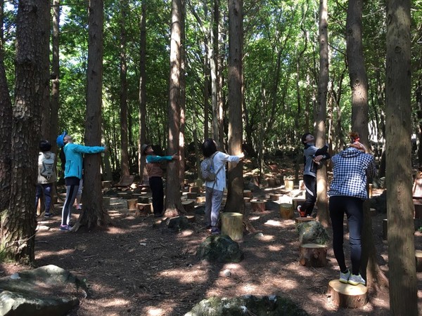 서귀포치유의숲. 제주관광공사 제공