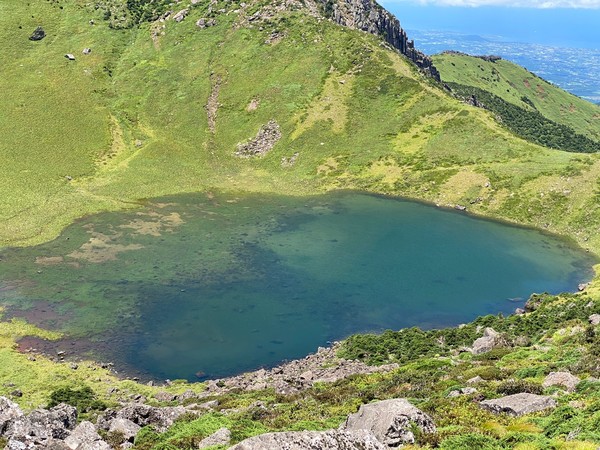 (사진=독자제공)