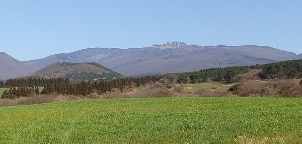 유수암리공동목장 전경