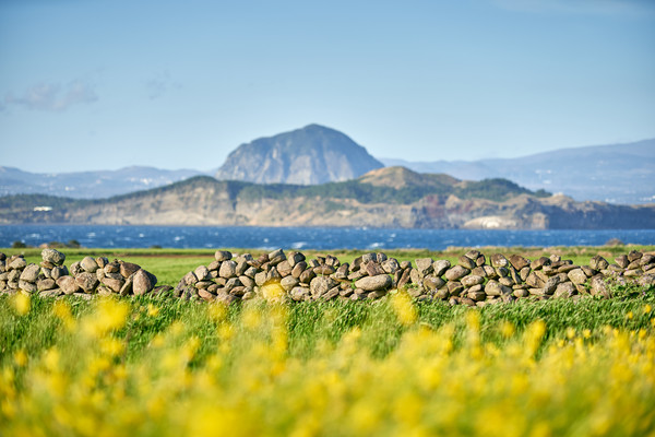 제주관광공사 제공.