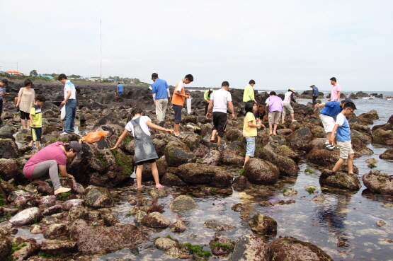 2019년 제18회 보목자리돔축제 모습.