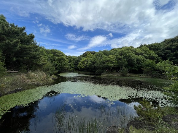          동백동산 습지.
