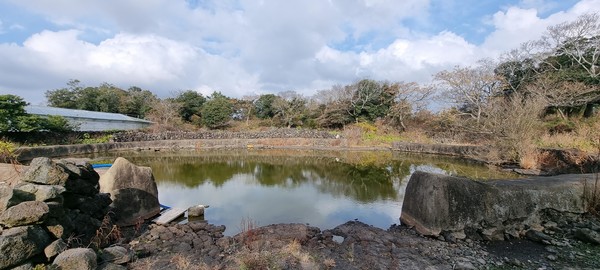 한경면 저지리 주민들이 이용했던 '알수롱물, 밭수롱물' 봉천수(고기원 촬영, 2021. 12. 15)