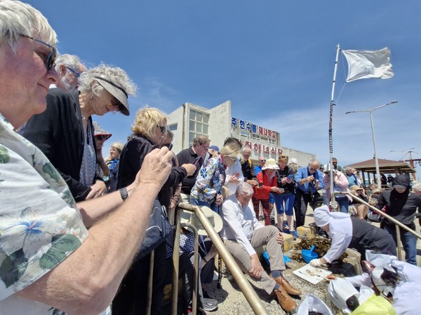 한수풀해녀노래보존회가 17일 제주시 한림읍에 위치한 한수풀해녀학교 앞바다에서 물질 시연으로 채취한 해산물을 다듬고 있다. 김봉철 기자