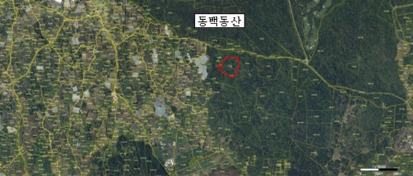 선흘리 산31번지 위성지도.