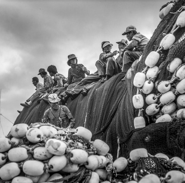 고영일 작, '산지항'.