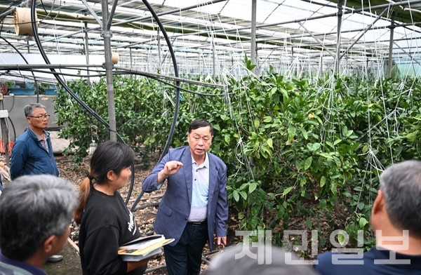 강만희 비가림온주 명인이 지난 6월 5일 자신의 농가에서 고품질 감귤 생산 강연을 실시하고 있다.