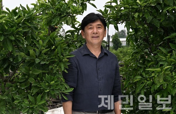 김진성 성목이식-조생 명인