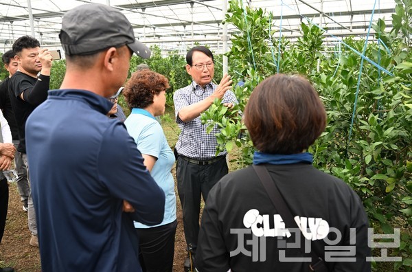 오창훈 명인이 6월 21일 농가를 대상으로 고품질 레드향 재배 교육을 실시했다.