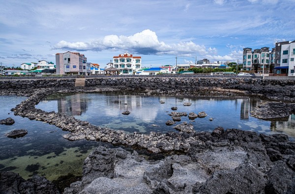 제주시 연대동 일대. 정은희 작가 촬영