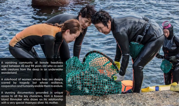 임완호 감독의 첫 장편 다큐멘터리 영화 'The Last MERMAIDS of Korea'가 내년 해외에서 상영된다. 