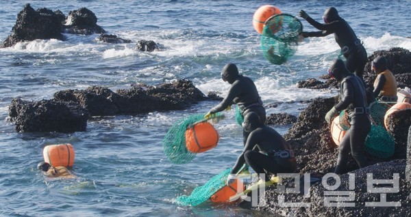 제주해녀문화는 2016년 유네스코 인류무형문화유산으로 등재됐다. 이외에도 제주해녀어업은 2015년 국가중요어업 유산, 해녀는 2017년 국가무형문화재로 지정됐다.