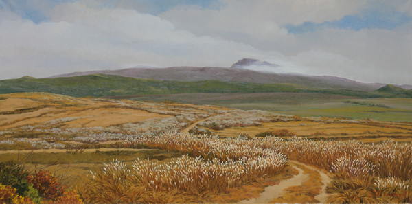 박광진_제주_53x73cm_캔버스에 유채_1972