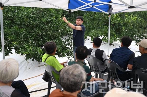 김진성 성목이식-조생 명인이 지난 17일 감귤농가를 대상으로 고품질 감귤 생산 교육을 실시했다.