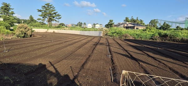 도내 한 논밭에서 농압용수 부족으로 스프링클러가 멈춰 있다.