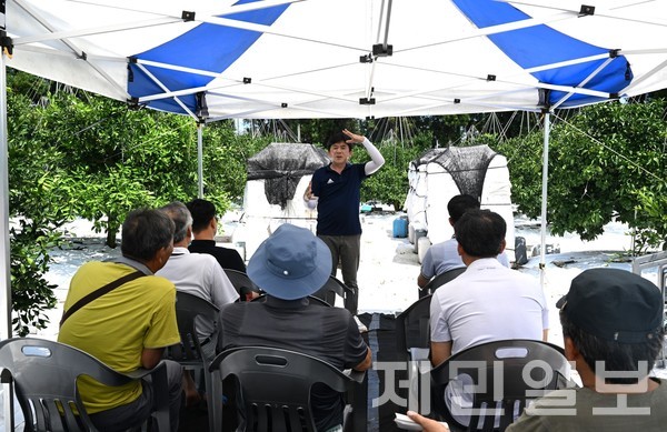 김진성 성목이식-조생 명인이 지난 8월 12일 남원읍 신례리 자신의 농장에서 지역 농가를 대상으로 고품질 감귤 생산 재배법에 대해 교육하고 있다.