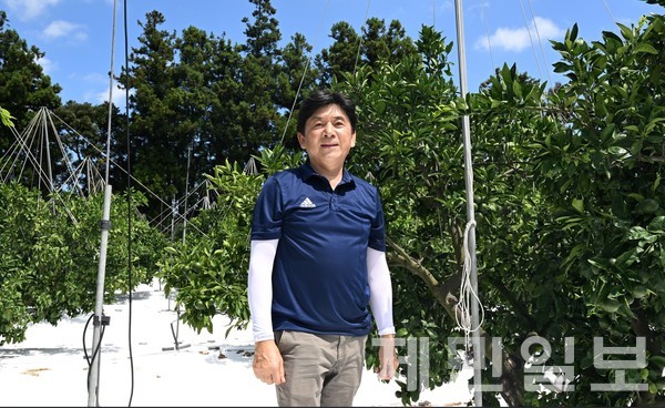 김진성 성목이식-조생 명인