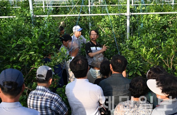 오창훈 레드향 명인이 지난 8월 16일 지역 농가를 대상으로 고품질 레드향 생산 재배법에 대해 교육하고 있다.