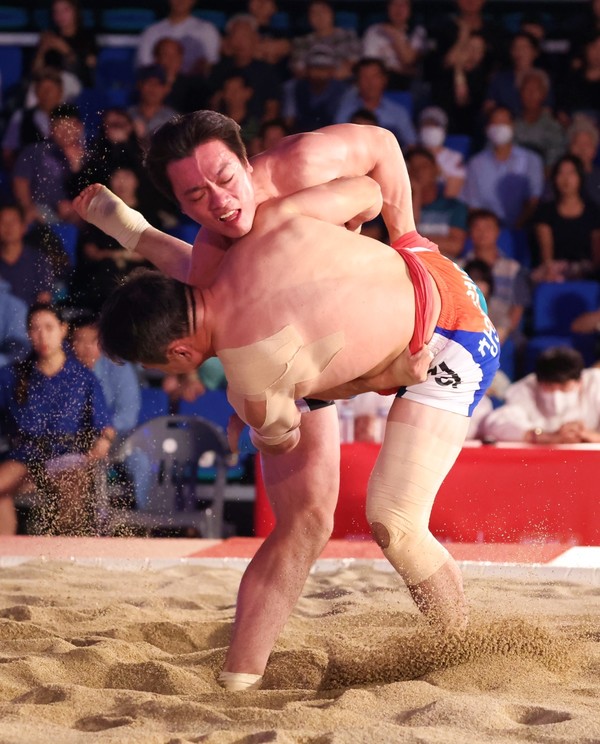 황찬섭이 소백장사 결정전에서 상대 김성하를 들배지기로 넘기고 있다.