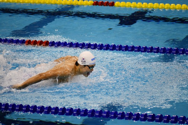 전국체전 마지막날인 17일 제주 선발로 수영 남자일반부 혼계영 400m에 출전한 이호준이 물살을 가르고 있다.