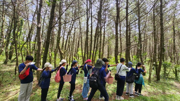 청소년들이 숲에서 거울보기 체험을 하고 있다.