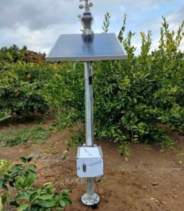 감귤 과수원에 태양광으로 가동되는 다중센서 통합 무선노드 IoT 장치,