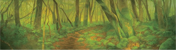 섬의 숲, 강동균