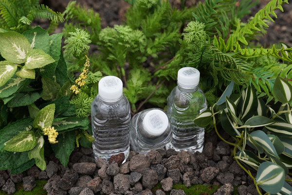 제주삼다수 무라벨 제품