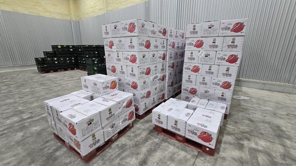 제1권역 물류센터 내 냉장창고에서 보관되고 있는 제주산 농산물들. 대형마트 등에서 추가 발주가 접수되면 즉각 배송이 이뤄진다.