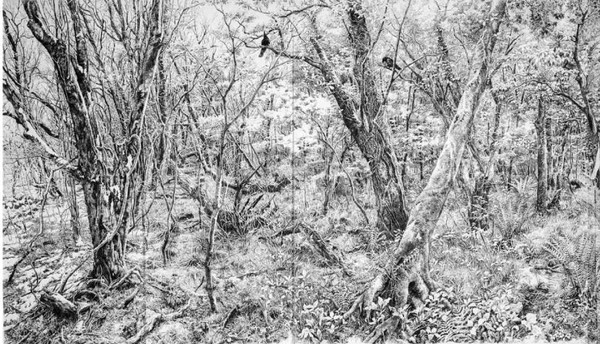 제주4·3평화재단은 21일부터 오는 6월 30일까지 '그 겨울 넘어, 함께 이룬 우리 이야기' 전시를 개최하고, 김영화 작가의 작품 '그 겨울로부터'를 선보인다.