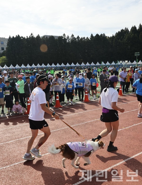 반려견과 함께 달리는 참가자. 김은수 기자