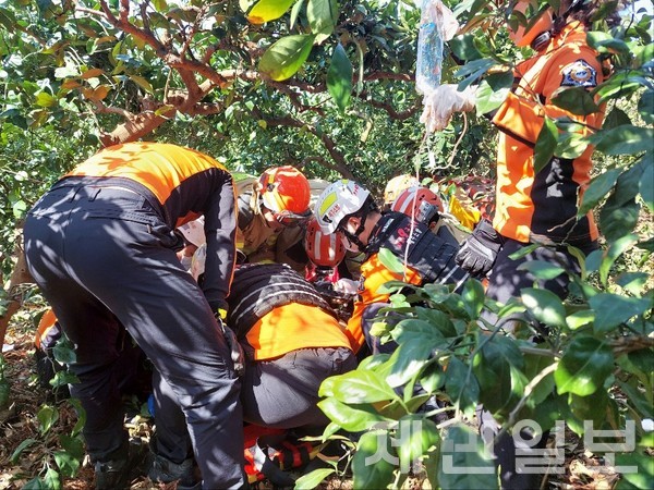 제주지역에서 농기구 관련 안전사고가 잇따르면서 소방당국이 각별한 주의를 당부했다.(사진=제주소방안전본부)