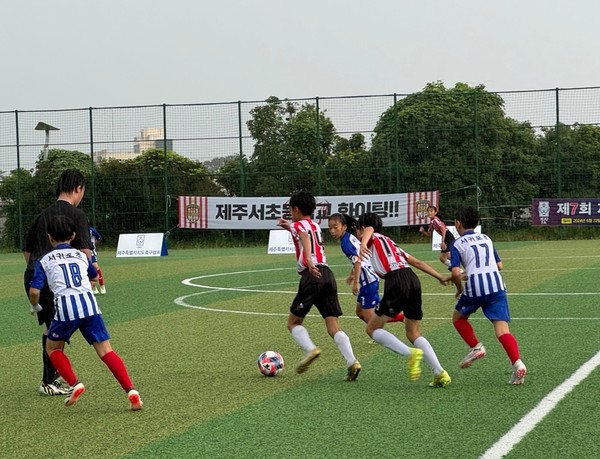 2024년 전도 축구대회 모습. 제주도축구협회 제공