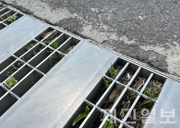 17일  제주시 광령리의 한 도로에는 격자형 빗물받이가 설치됐지만 입구 절반은 흙과 쓰레기로 막혀 있다. 전예린 기자